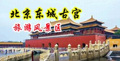 操逼淫荡免费网站中国北京-东城古宫旅游风景区